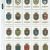 Ships Badges 1925 W.D.&H.O.Wills Full Set Of 50 Cards (BH131)