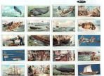 WHALING 1930 JOHN PLAYER & SONS 1930 Full Set Of 25 Cards (BH130)