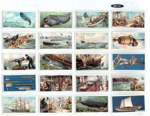 WHALING 1930 JOHN PLAYER & SONS 1930 Full Set Of 25 Cards (BH130)